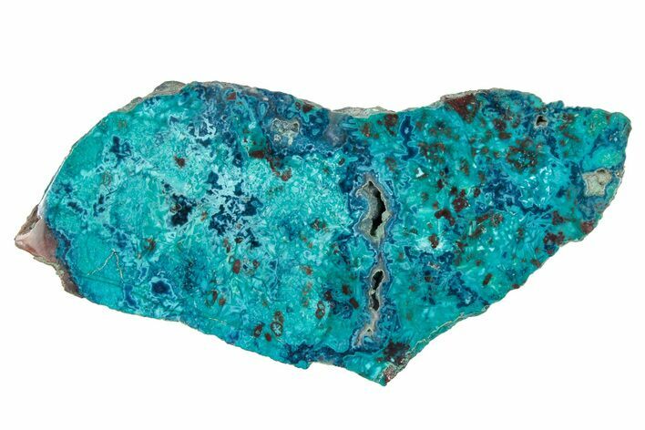 Vibrant Chrysocolla and Shattuckite Slab - Mexico #348732